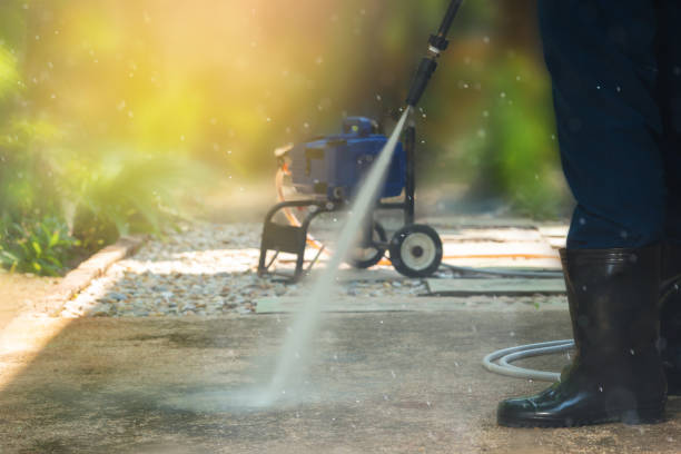 Animal Enclosure Cleaning in Blackwells Mills, NJ